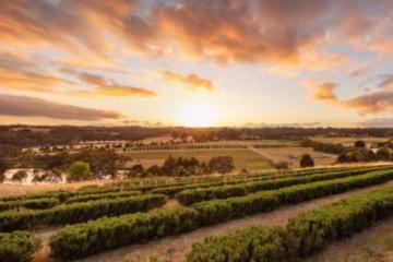 40周年限量版玫瑰按摩油迎接未来新篇章