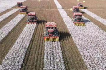 中西文化的融合，中国西北部的旅游发展，产业化升级迫不及待